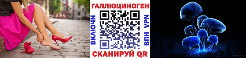Купить где  Грайворон  Псилоцибиновые грибы Psilocybine cubensis 