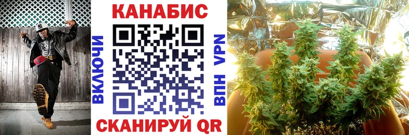 Бошки Шишки ГИДРОПОН  Купить закладки  Грайворон 